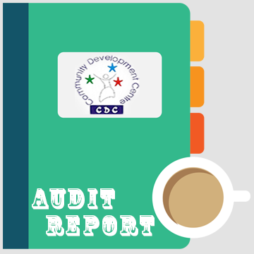 audit_report